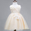 Lace Tulle Cute Flower Girl Dresses, Lovely Affordable Satin Top Little Girl Dresses,  FG035