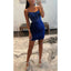 Elegant Spaghetti Straps Mermaid Tulle Applique Royal Blue Short Homecoming Dresses Online, HD0656
