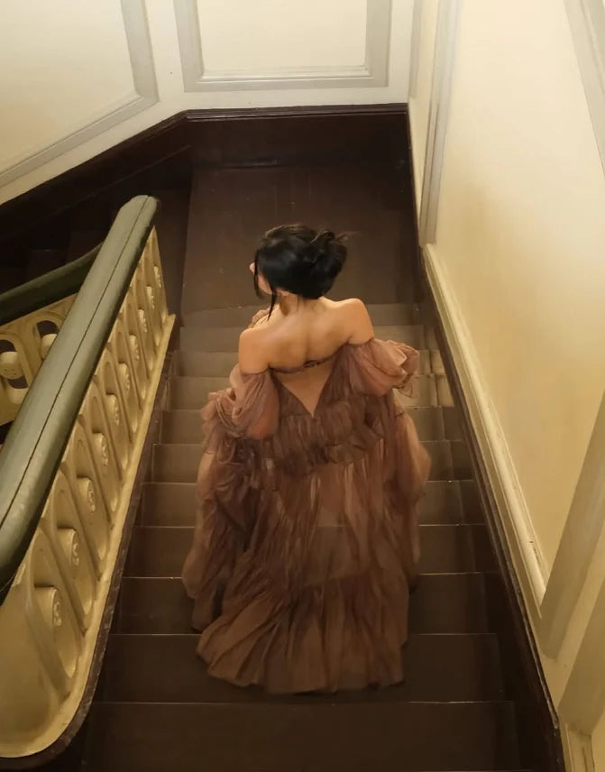 Elegant Brown Long Sleeve A-Line Long Prom Dress Ideas, Evening Party Dresses, OLP1671