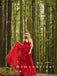 A-Line V-Neck Spaghetti Straps Red Tulle Long Prom Dresses With Lace,RBPD0064