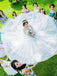Charming Lace Long Sleeves Princess Ball Gown, Wedding Dresses With Train, WD0408